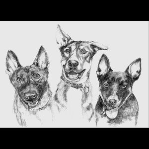 Meet your Posher, Kathy